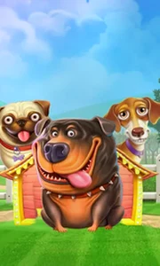 The Dog House