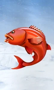 Ice Fishing